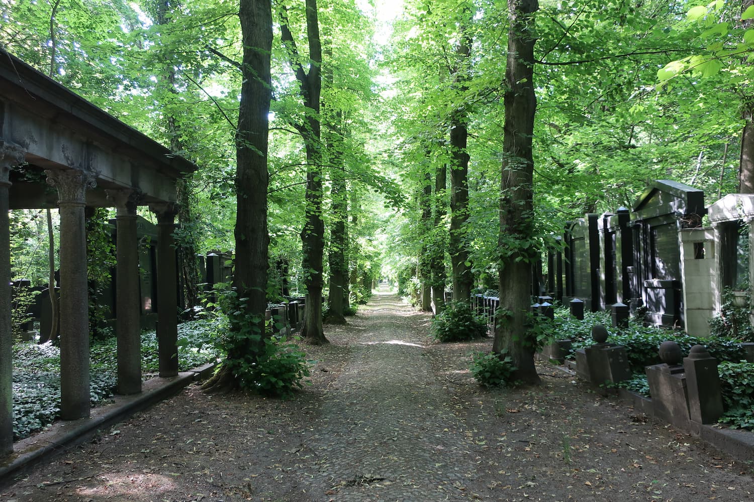 自然を感じ、歴史を考えさせる場所 「ヴァイセンゼー・ユダヤ人墓地 」