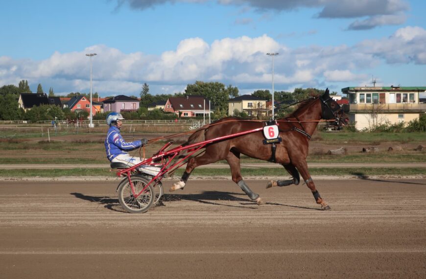 ベルリンの競馬場